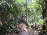 Braulio Carrillo Nationalpark