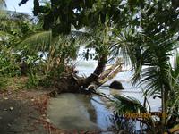 Cahuita Nationalpark