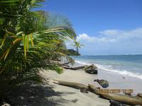 Cahuita Nationalpark
