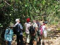 Cahuita Nationalpark
