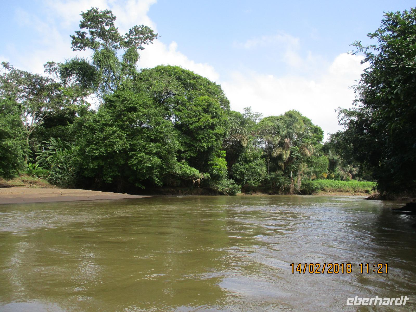 Tortuguero Nationalpark