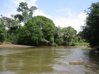 Tortuguero Nationalpark