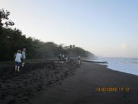 Strand in Tortuguero