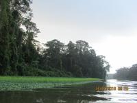 Tortuguero Nationalpark