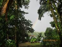 Tortuguero Nationalpark