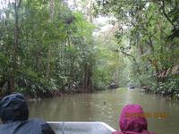 Tortuguero Nationalpark