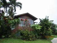 Hotel Arenal Paraiso