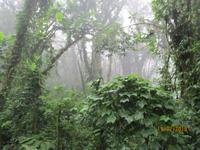 Santa Elena Nationalpark