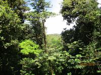 Hängebrücken im Santa Elena Nationalpark