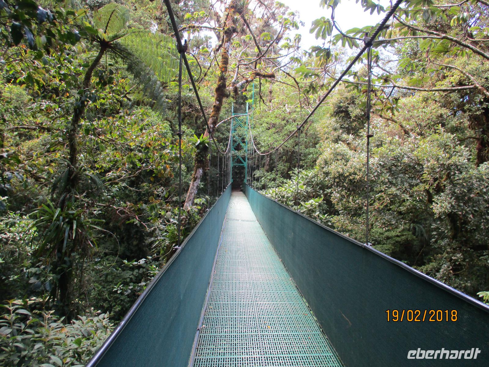Hängebrücken im Santa Elena Nationalpark