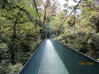Hängebrücken im Santa Elena Nationalpark