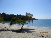Manuel Antonio Nationalpark