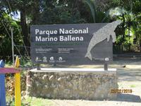 Marino Ballena Nationalpark