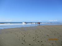 Marino Ballena Nationalpark