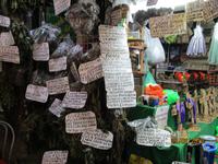 Marktstand in San José