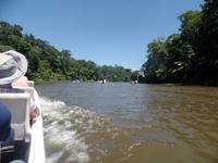 17 Tage Rundreise Costa Rica – einzigartige Naturreise San José – Vulkane Poas & Arenal – Braulio Carrillo NP – Cahuita NP – Tortuguero NP – Monteverde – Santa Elena – Carara NP – Marino Ballen (725)