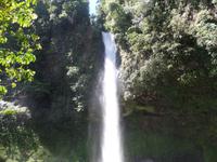 17 Tage Rundreise Costa Rica – einzigartige Naturreise San José – Vulkane Poas & Arenal – Braulio Carrillo NP – Cahuita NP – Tortuguero NP – Monteverde – Santa Elena – Carara NP – Marino Ballen (989)