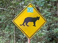 17 Tage Rundreise Costa Rica – einzigartige Naturreise San José – Vulkane Poas & Arenal – Braulio Carrillo NP – Cahuita NP – Tortuguero NP – Monteverde – Santa Elena – Carara NP – Marino Ballen (1379)
