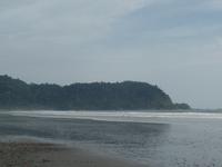 17 Tage Rundreise Costa Rica – einzigartige Naturreise San José – Vulkane Poas & Arenal – Braulio Carrillo NP – Cahuita NP – Tortuguero NP – Monteverde – Santa Elena – Carara NP – Marino Ballen (1568)