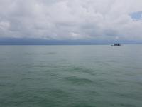 17 Tage Rundreise Costa Rica – einzigartige Naturreise San José – Vulkane Poas & Arenal – Braulio Carrillo NP – Cahuita NP – Tortuguero NP – Monteverde – Santa Elena – Carara NP – Marino Ballen (1778)