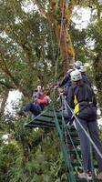 Costa Rica, Canopy im Selvatura Park