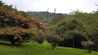 Costa Rica, Monteverde, Forest Cloud Lodge