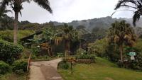 Costa Rica, Monteverde, Forest Cloud Lodge
