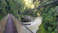 Costa Rica, Rafting Pacuare, Hängebrücke nahe der Lodge