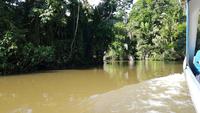 Costa Rica, Turtle Beach Lodge, Anreise mit dem Boot