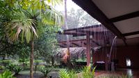 Costa Rica, Turtle Beach Lodge, es regnet mal wieder...