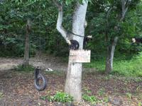 Costa Rica, Kapuzineraffen