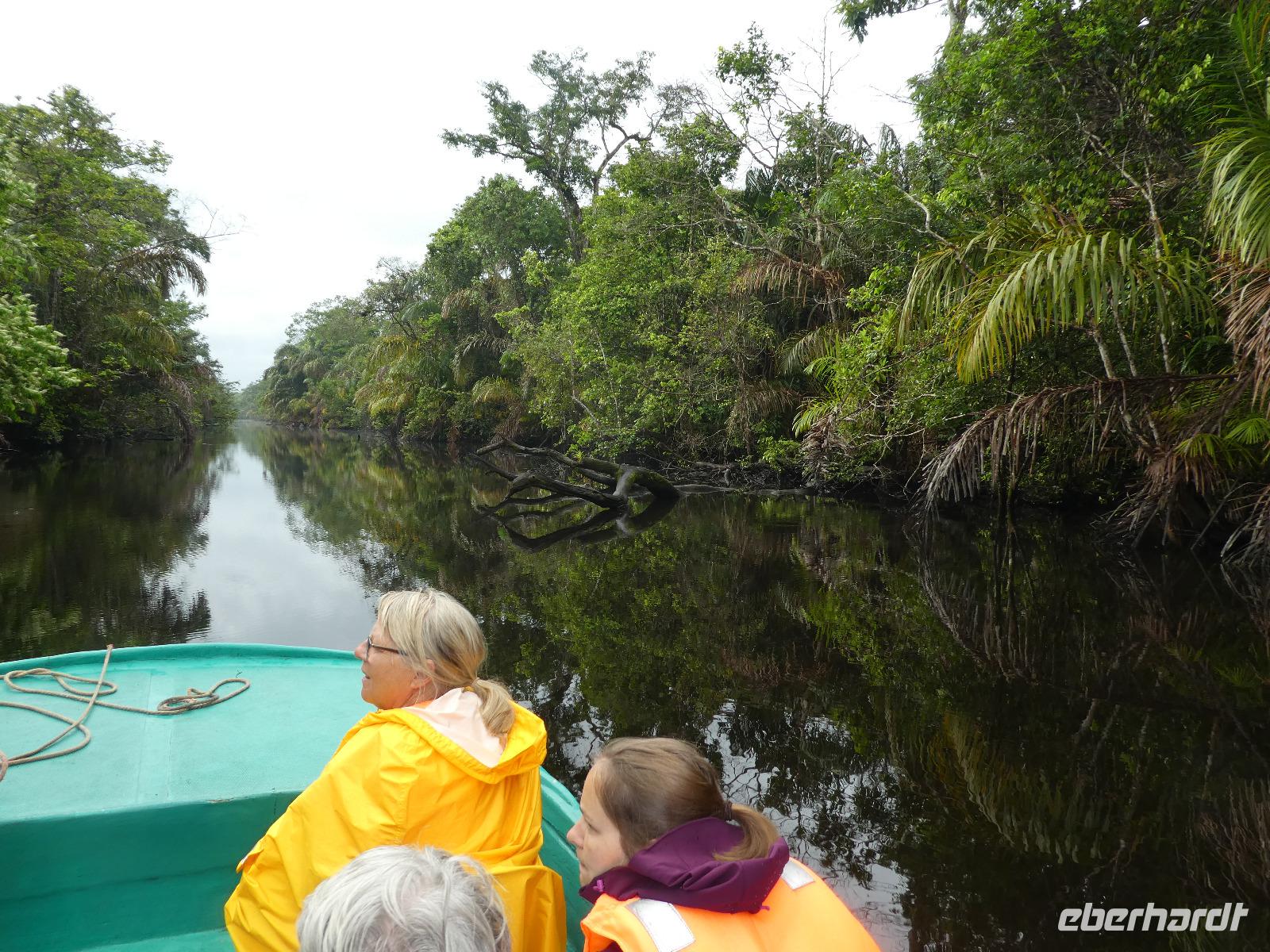 Costa Rica, Tierbeobachtung