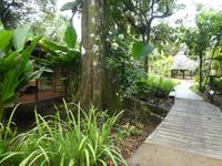 Costa Rica, Turtle Beach Lodge