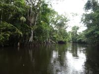 Costa Rica, Tortuguero NP