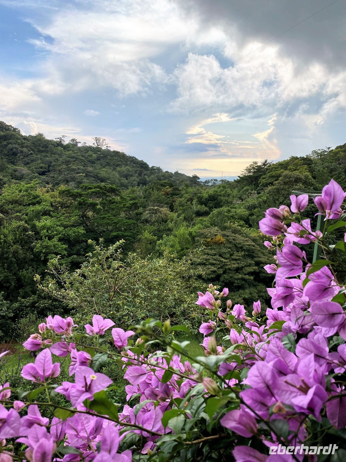 2. Tag - 15.10.21.jpg