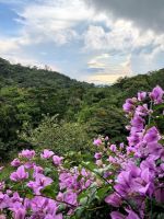 2. Tag - 15.10.21.jpg