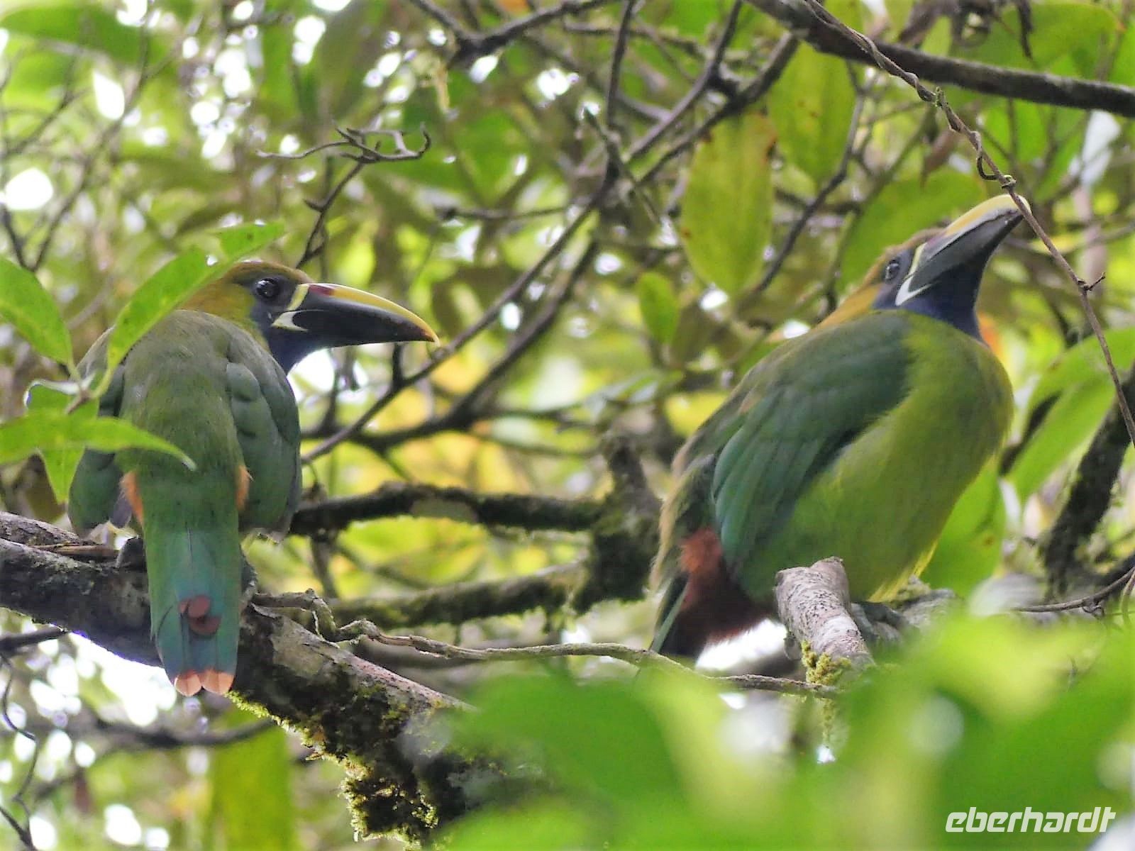 2. Tag - 15.10.21.jpg