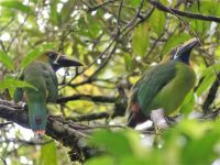 2. Tag - 15.10.21.jpg