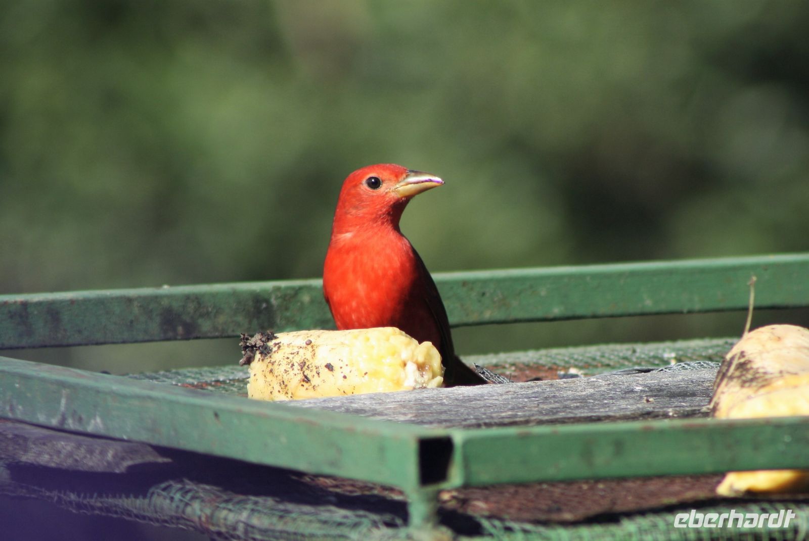 4. Tag - 17.10.21.JPG