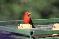 4. Tag - 17.10.21.JPG