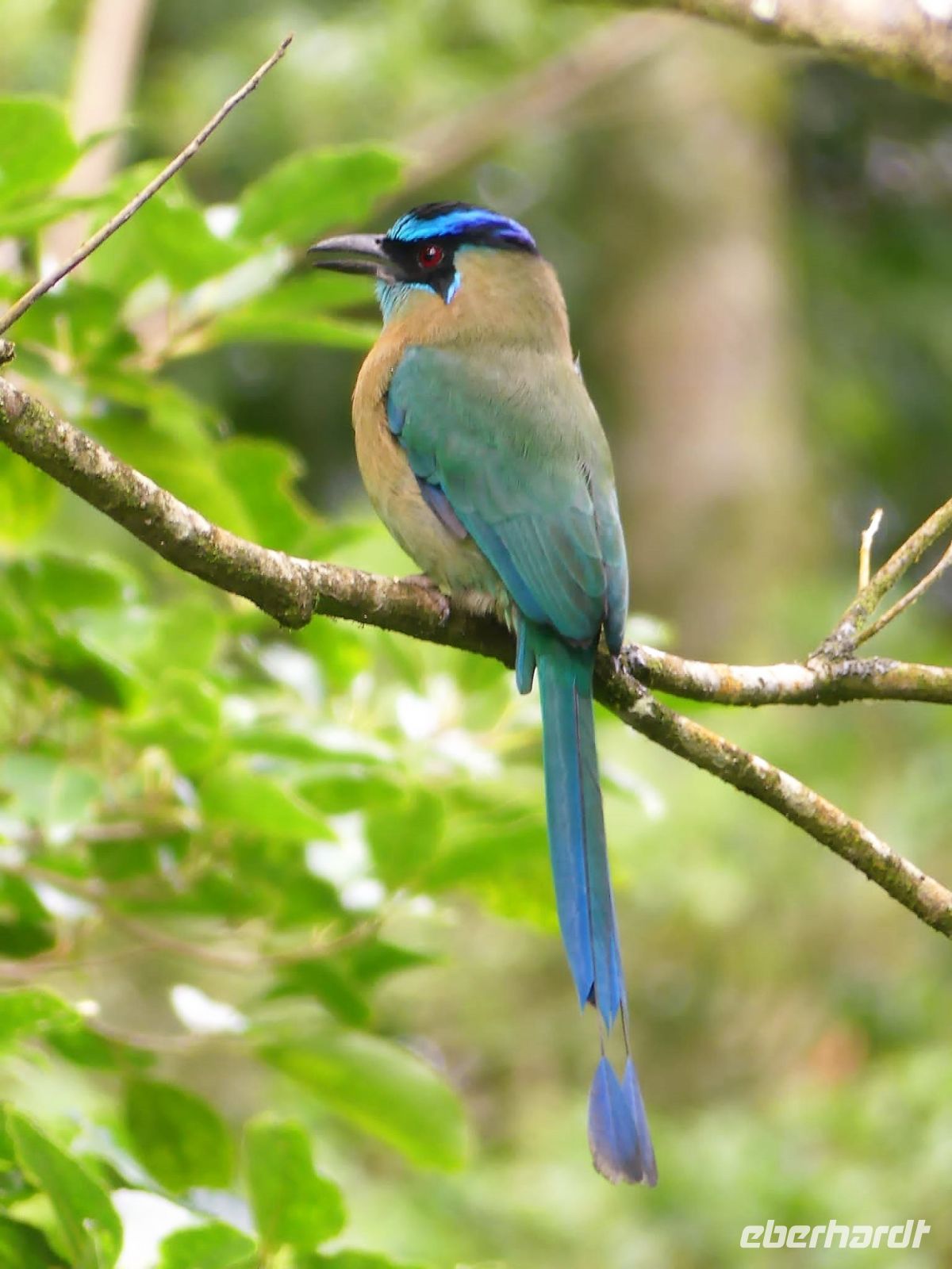 4. Tag - 17.10.21.jpg