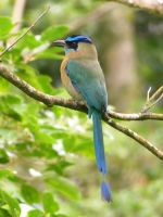 4. Tag - 17.10.21.jpg