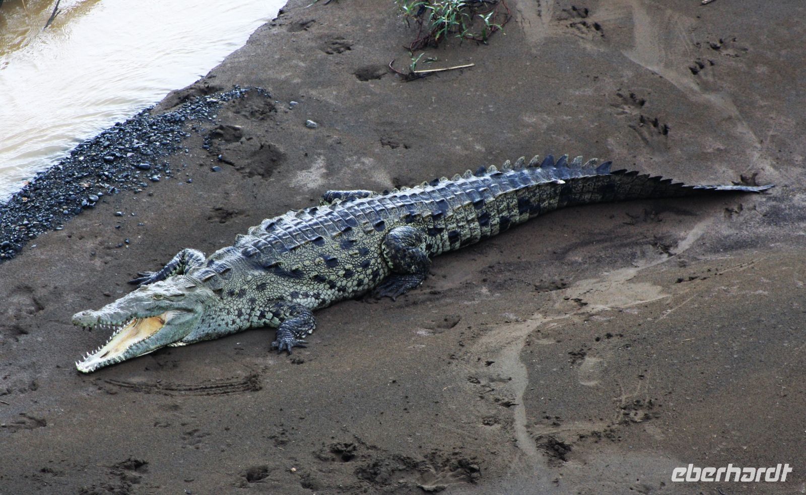 4. Tag - 17.10.21.JPG