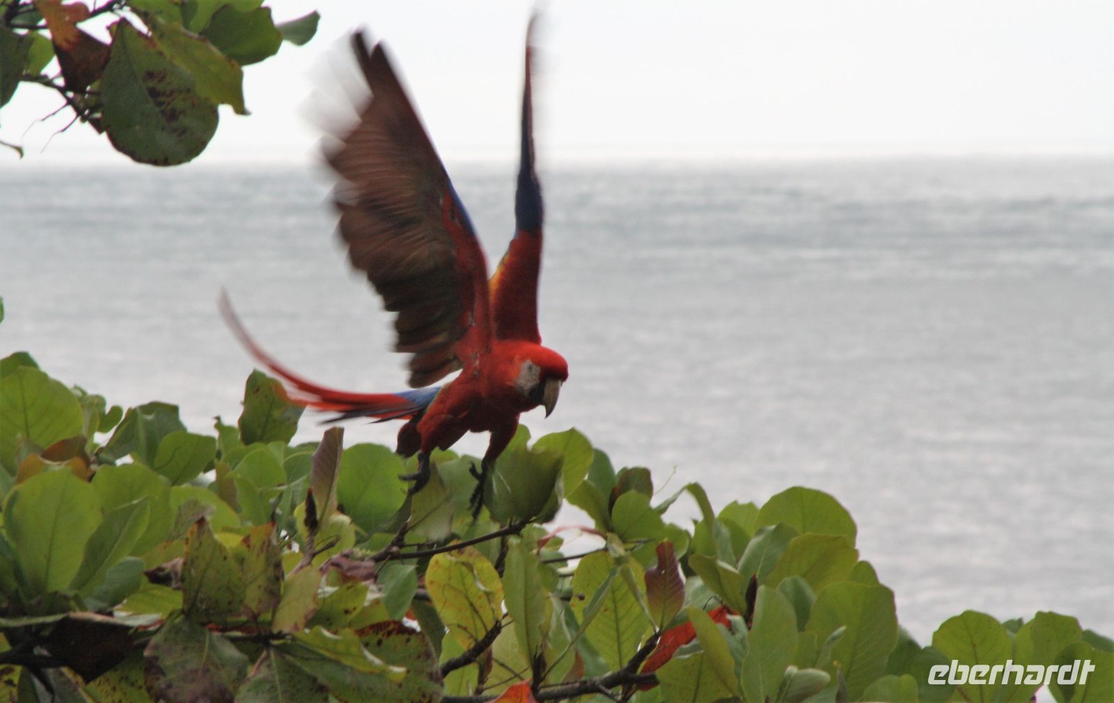 4. Tag - 17.10.21.JPG