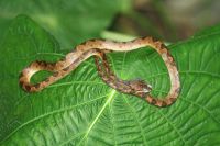 5. Tag - 18.10.21.JPG