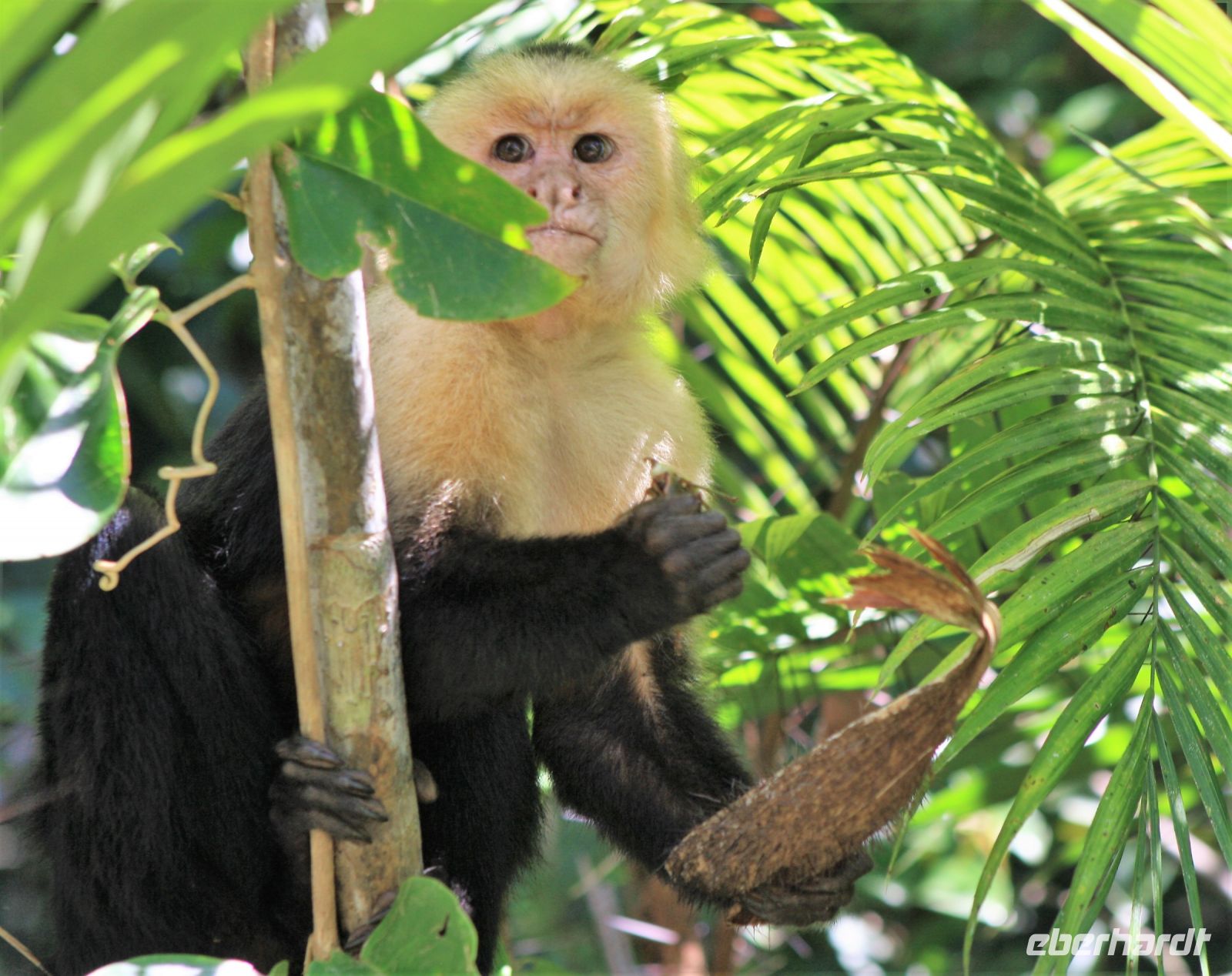 5. Tag - 18.10.21.JPG