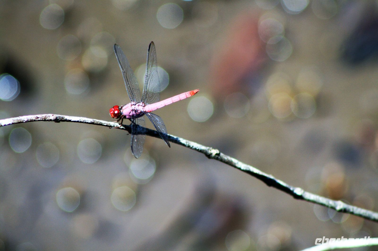 5. Tag - 18.10.21.JPG