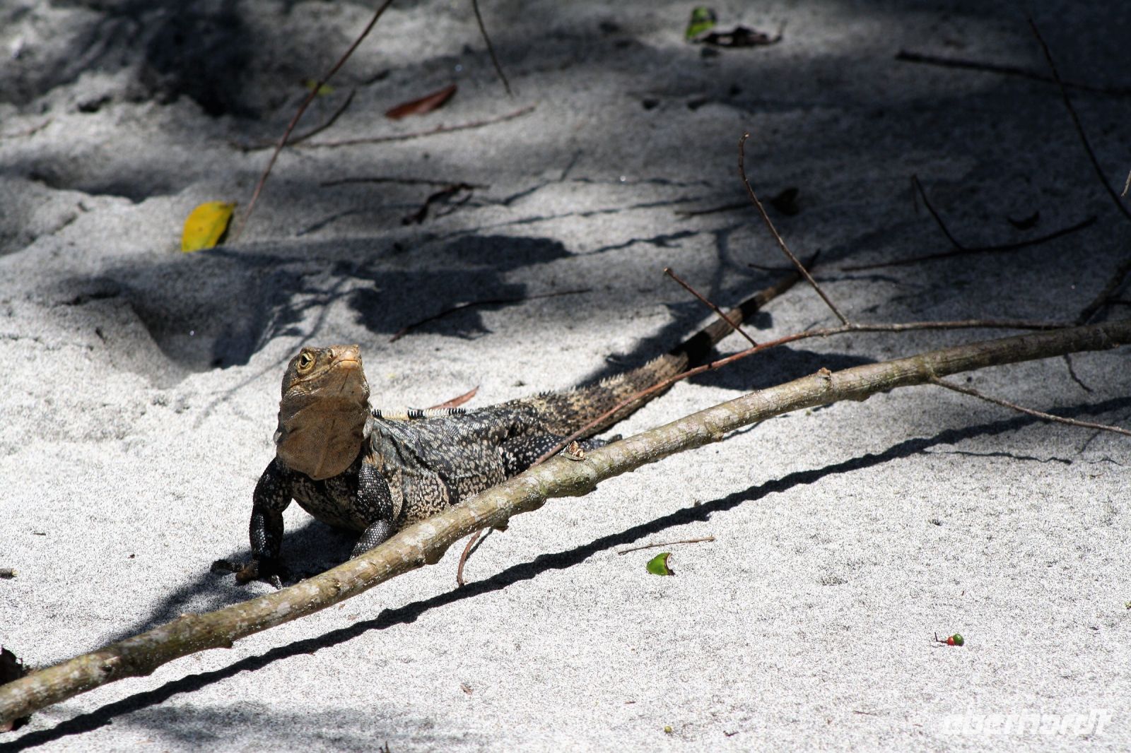 5. Tag - 18.10.21.JPG