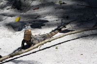 5. Tag - 18.10.21.JPG