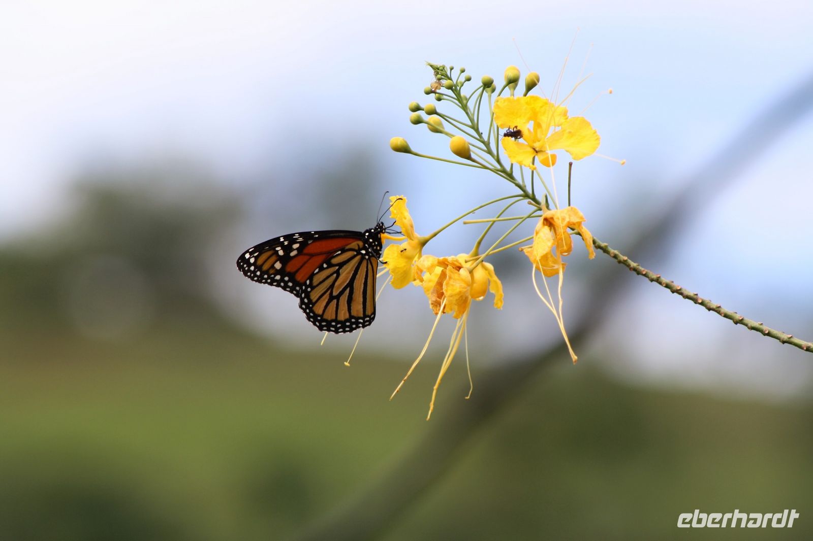 6. Tag - 19.10.21.JPG